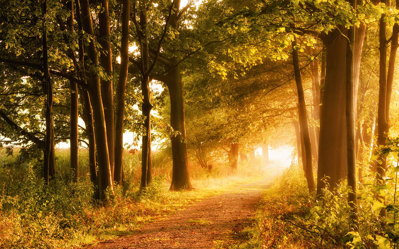 the-way-back-to-the-way-forward-restarter-stories